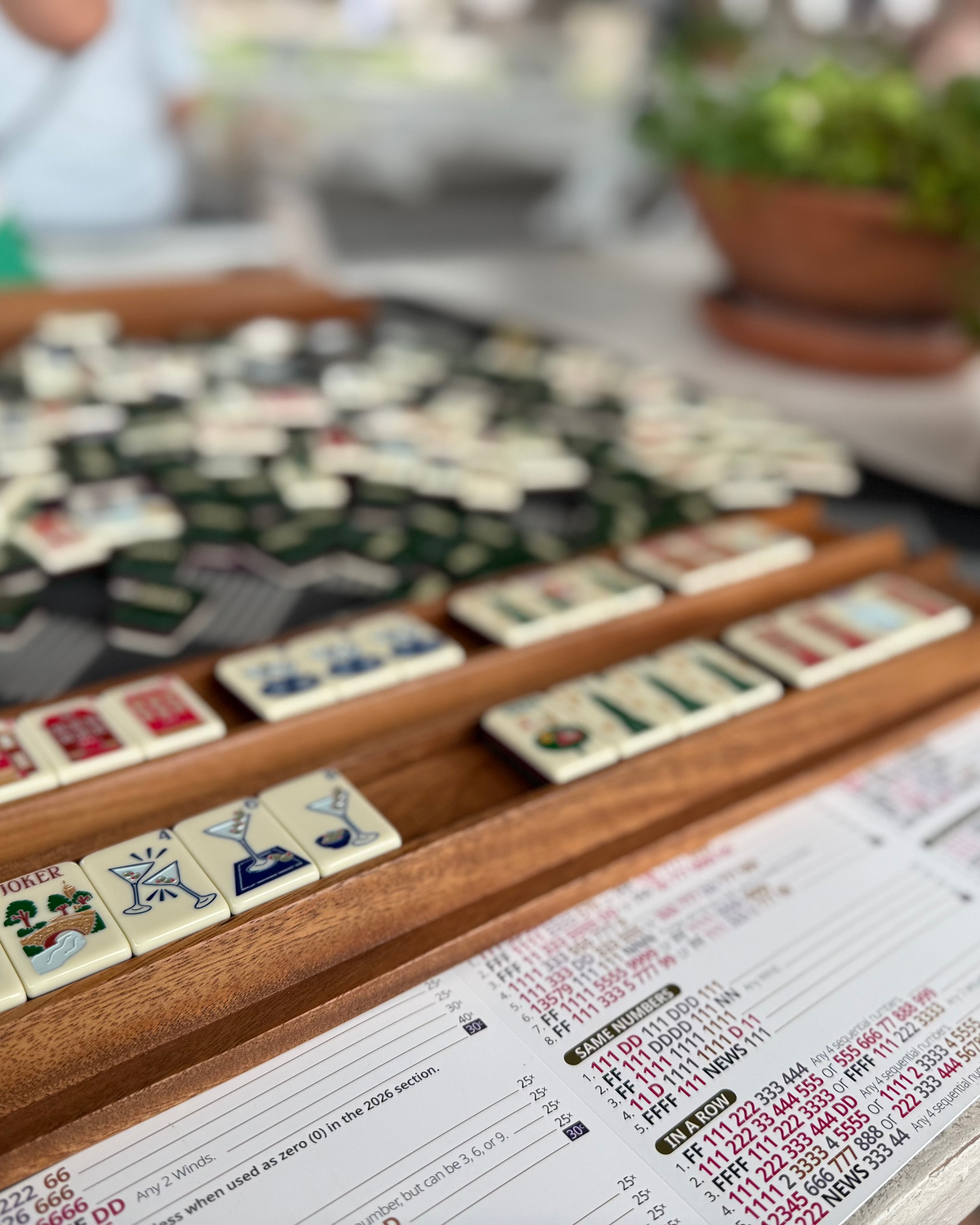Mahjong 101 Class